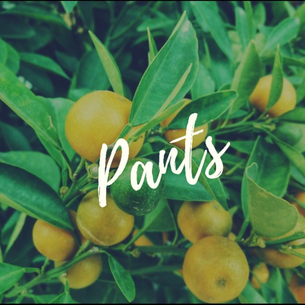 Pants